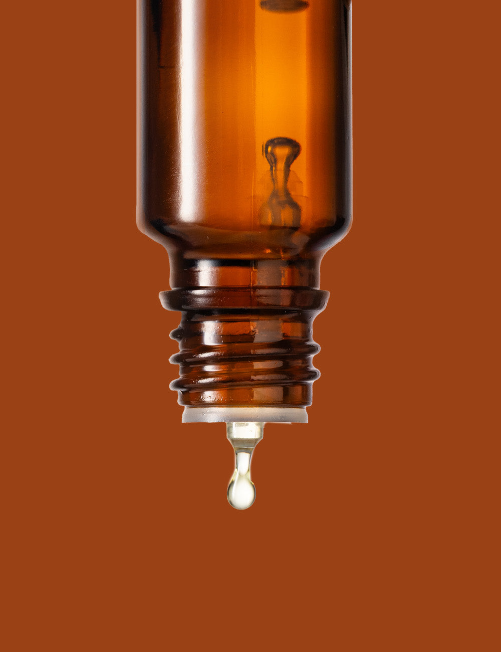 Olio Essenziale di Zenzero hover